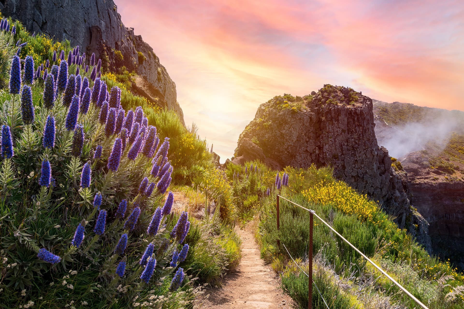 Madeira Urlaub 2025