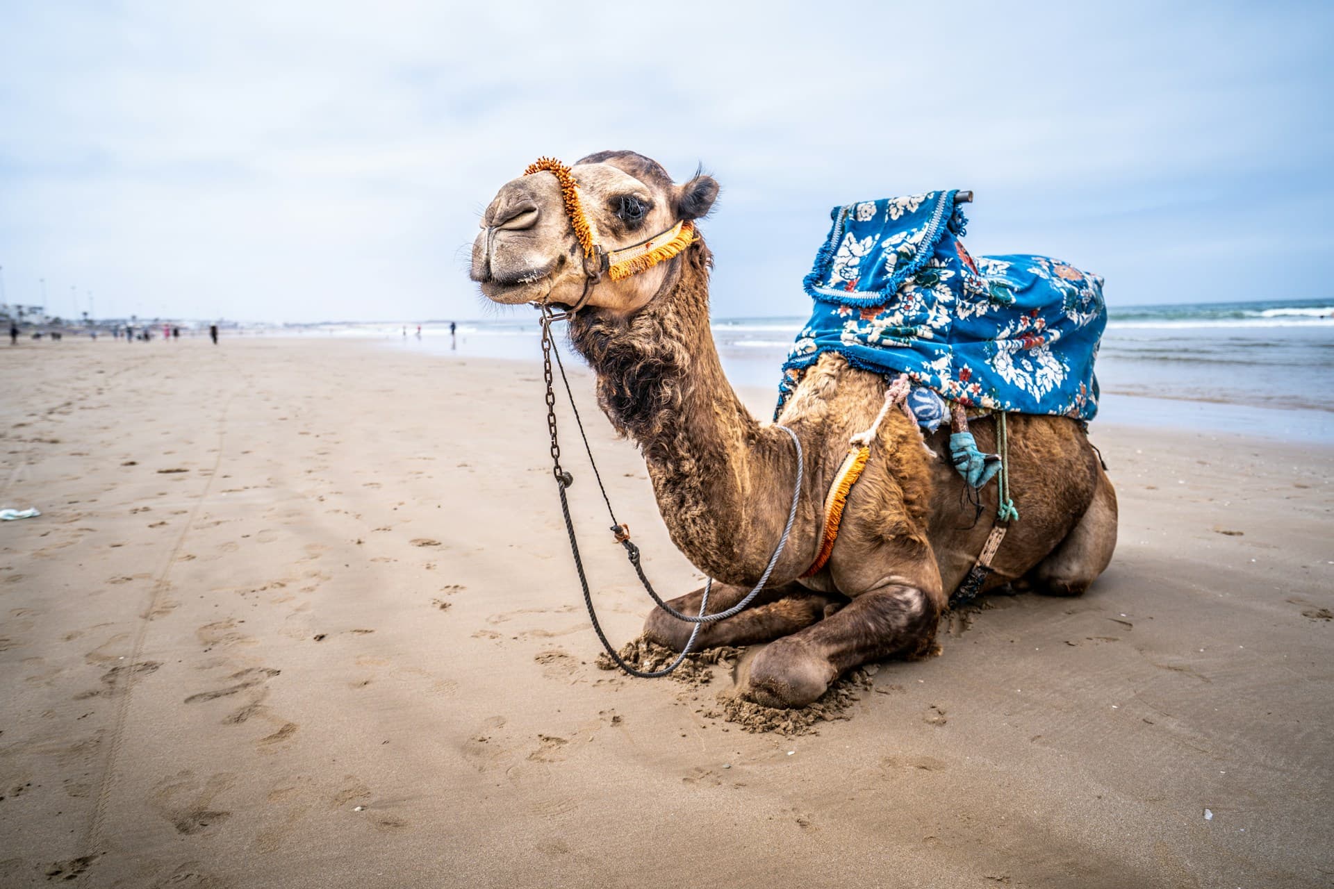 Agadir Urlaub – 9 km langer Sandstrand am Atlantik